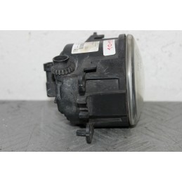 FARETTO FENDINEBBIA ANT. FORD FOCUS SW DAL 2004 AL 2011 COD. 2N11-15201-AB  2400000010193