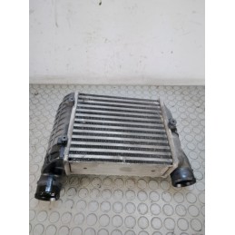 Intercooler Audi A4 1.8 Tb B7 8E dal 2003 al 2008 cod 038906051d 02612302073  1700841181133