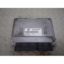 Centralina motore Vw Polo 9n3 dal 2005 al 2009 cod 03e906033ak 5wp4423603  1733308803835